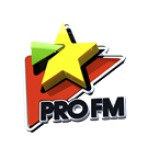 Radio Pro FM 102.8