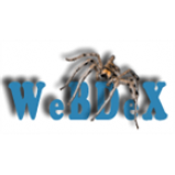 Radio WeBDeX 8bit radio