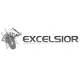 Radio Radio Excelsior 1160