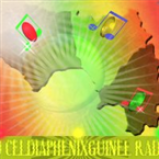 Radio Radio Celdiaphenixguinee