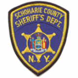 Radio Schoharie County Public Safety