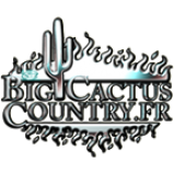 Radio The Big Cactus Country