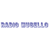 Radio Radio Mugello 99.0