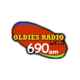 Radio WELD 690