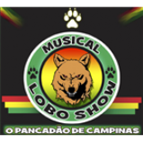 Radio Musical Lobo Show