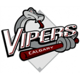 Radio SportsJuice - Calgary Vipers