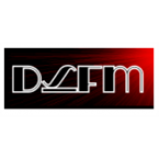 Radio DS FM