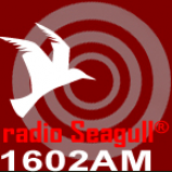 Radio Radio Seagull 1602