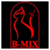 Radio B-Mix Webradio