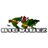 Radio Bigvibez Radio