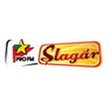 Radio ProFM Slagar