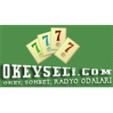 Radio OkeySeli FM