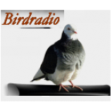 Radio Bird Radio