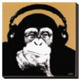 Radio Radio Monkey Mix