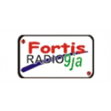 Radio Fortis Radio 9