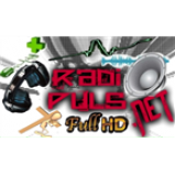 Radio Radio Pulso Net