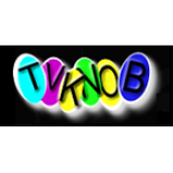 Radio TV Knob Ch. 12