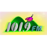 Radio 101.9 FM