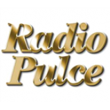 Radio Radio Pulce 99.1