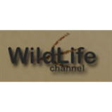 Radio Wild Life Channel TV