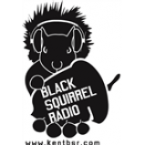 Radio Black Squirrel Radio