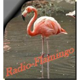 Radio Radio Flamingo