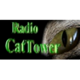 Radio Radio CatTower