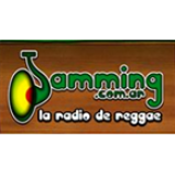 Radio Jamming Radio