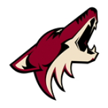 Radio Phoenix Coyotes Play by Play