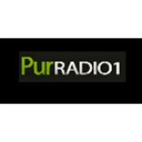 Radio Pur Radio 1