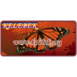 Radio Radio Kelebek