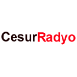Radio Cesur Radyo 96.6