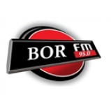 Radio Bor FM
