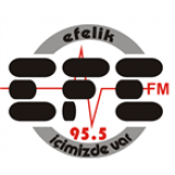 Radio EFE FM 95.5