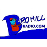 Radio Birdhill Radio