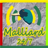 Radio Malliard 24/7