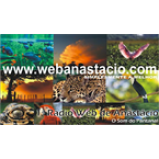 Radio Rádio Web Anastacio