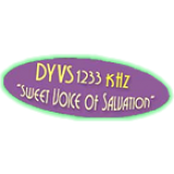 Radio DYVS 1233