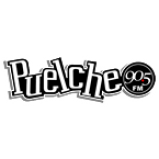 Radio Puelche FM 90.5