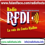Radio RFDI