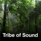 Radio A Tribe of Sound