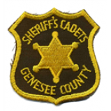 Radio Genesee County Police North