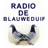 Radio Radio De Blauweduif