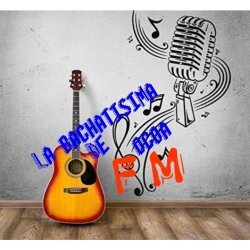 Radio La bachatisima de ocoa fm